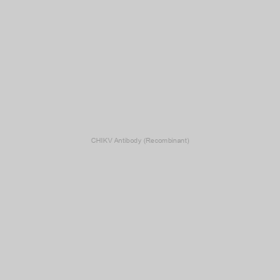 CHIKV Antibody (Recombinant)